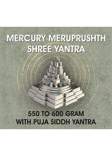 Parad Shree Yantra With Pooja
